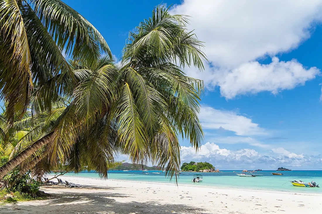 Cote D'Or Beach - Anse Volbert - Praslin - Seychelles