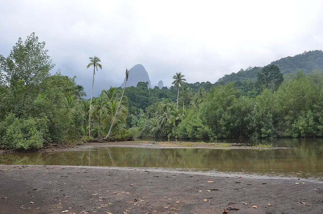 Príncipe Island Biosphere Reserve - Praia Caixão mangorve