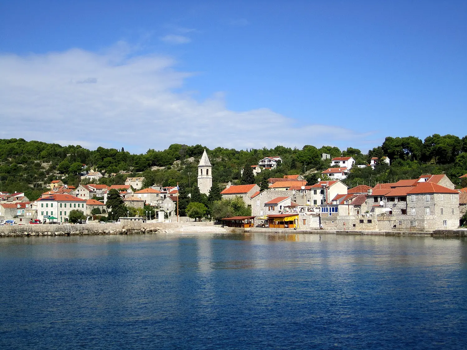 Prvic Luka2