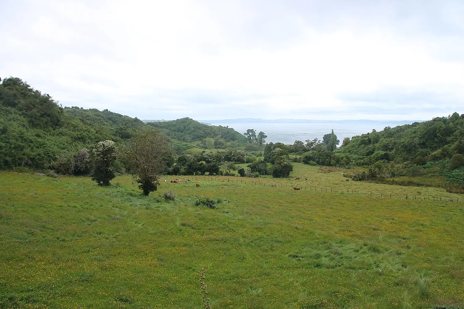 Quinchao – vista al suroeste desde la carretera W-589, 2019