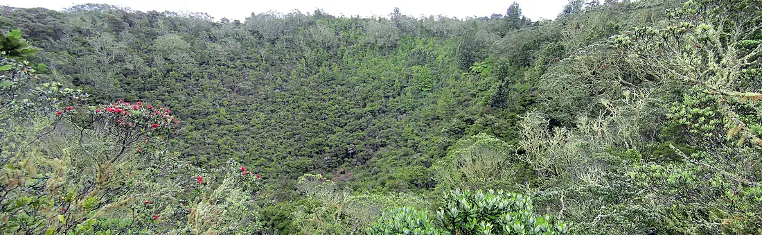Rangitoto Island Caldera (8470870562)