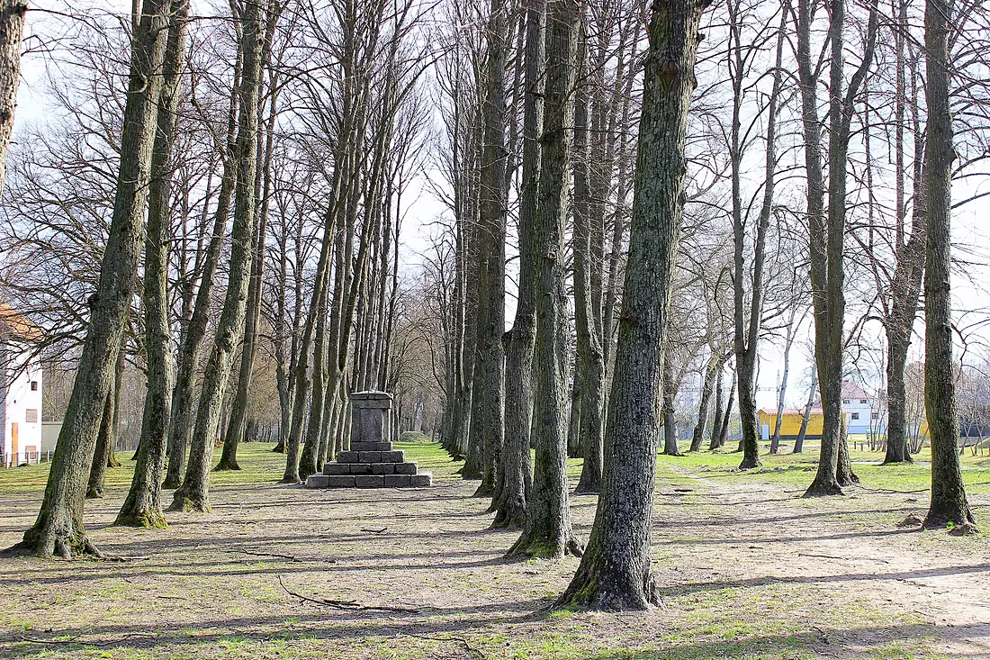 Rusnė - panoramio (6)