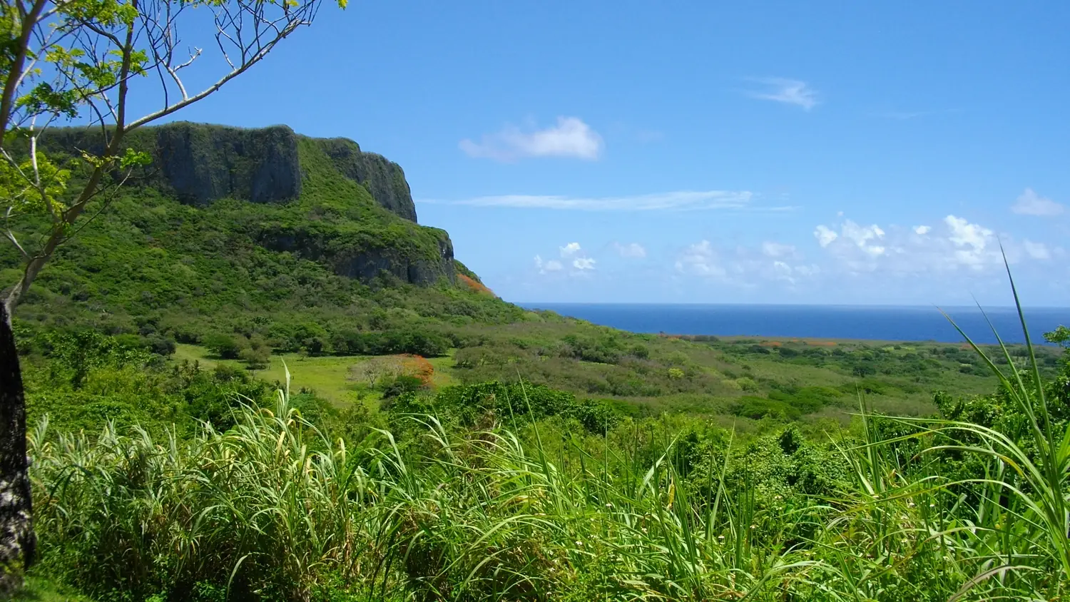 Suicide Cliff in Saipan 3