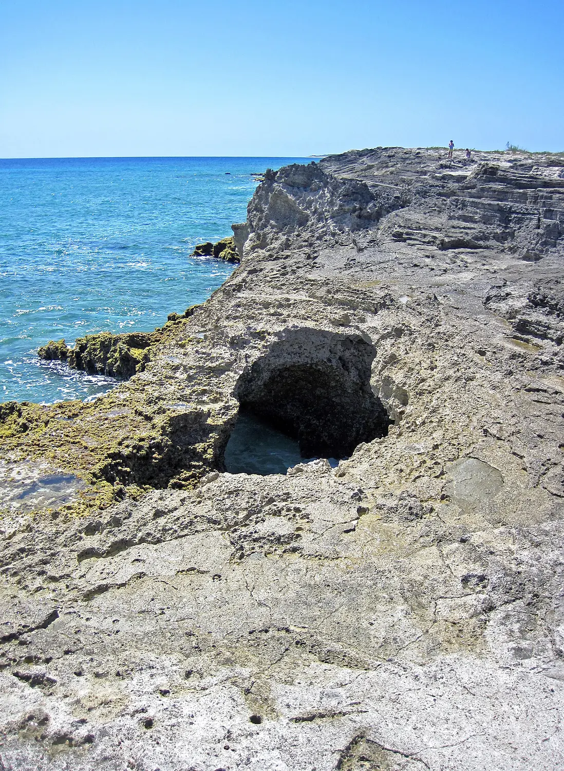 Blowhole in aragonitic limestone (just east of The Notch, southern margin of San Salvador Island, Bahamas) 2 (16039705832)
