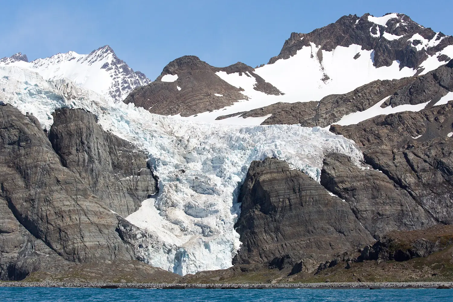 Bertrab Glacier South Georgia (200933553)