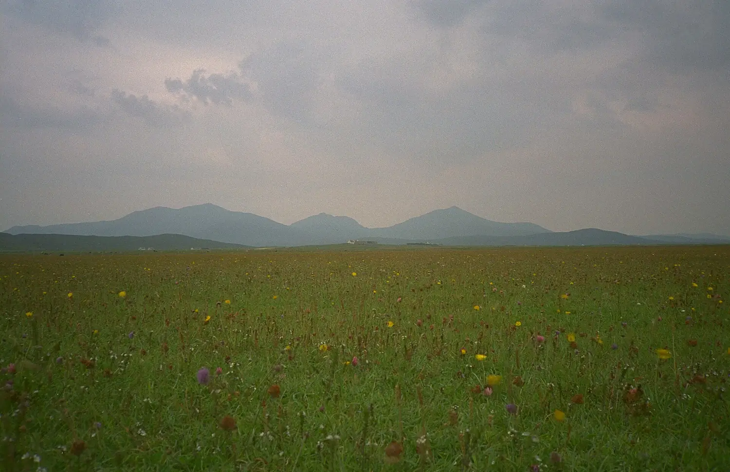 South Uist machair (timniblett)