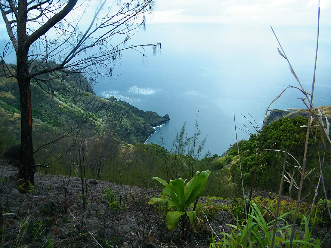 High view in Tahuata