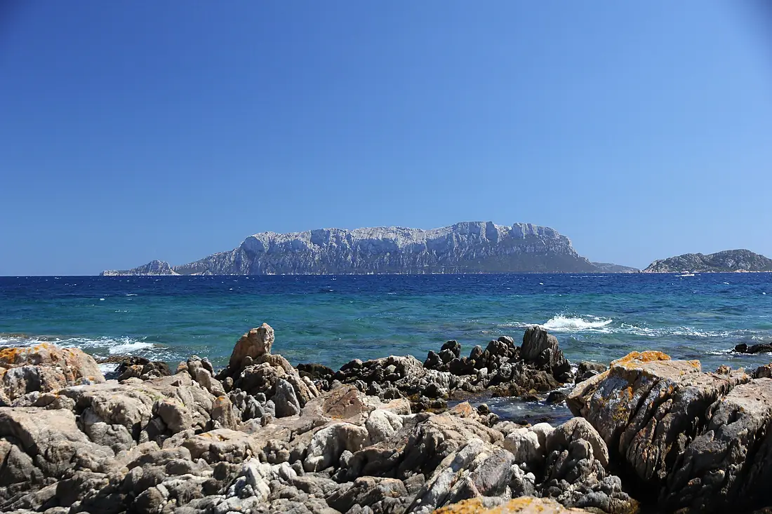 Isola di Tavolara (01)