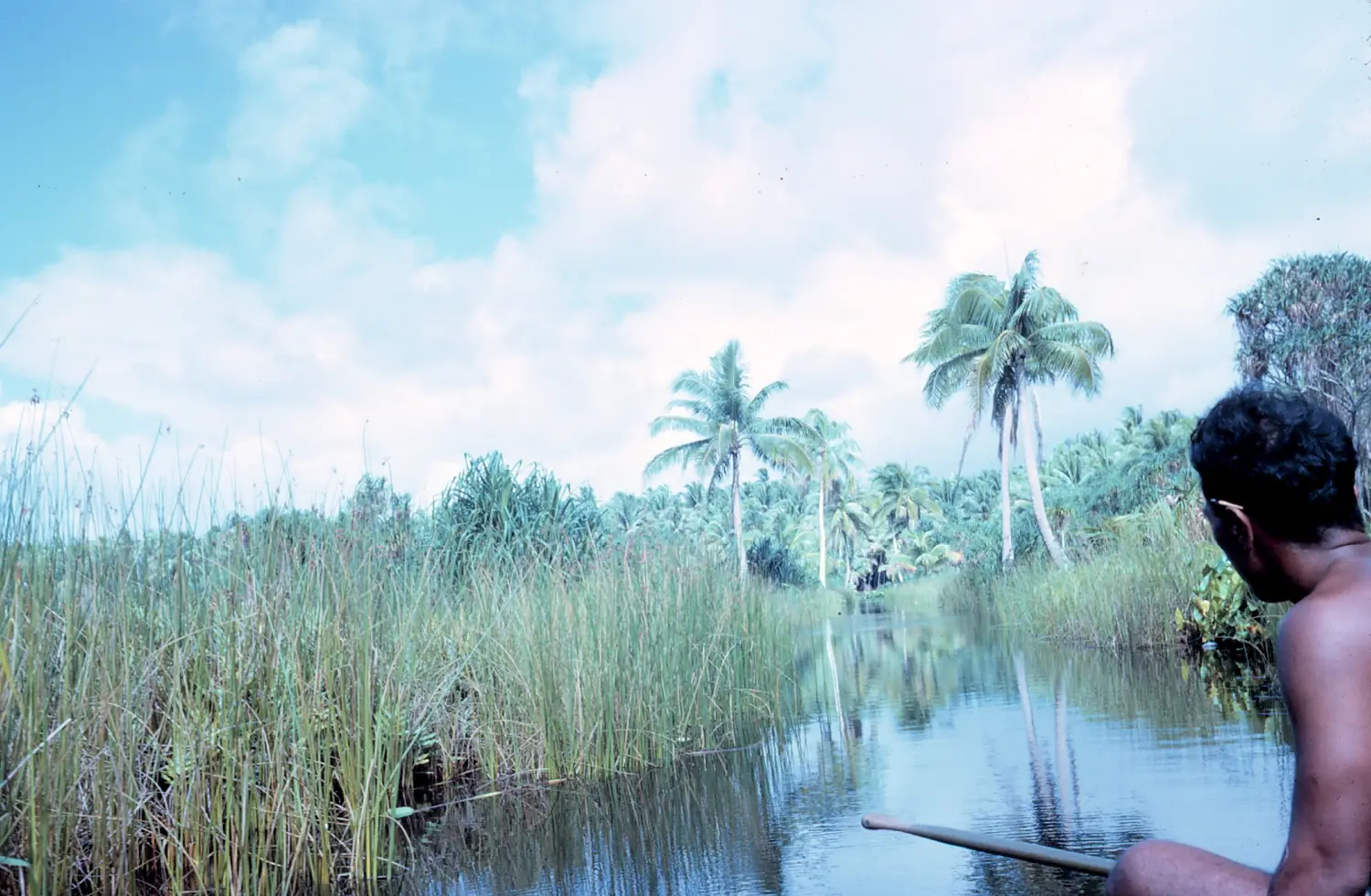 Freshwater canal on Teraina
