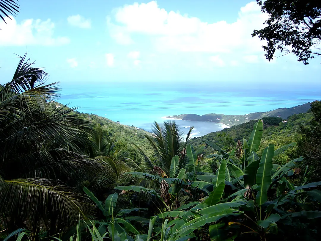 Tortola