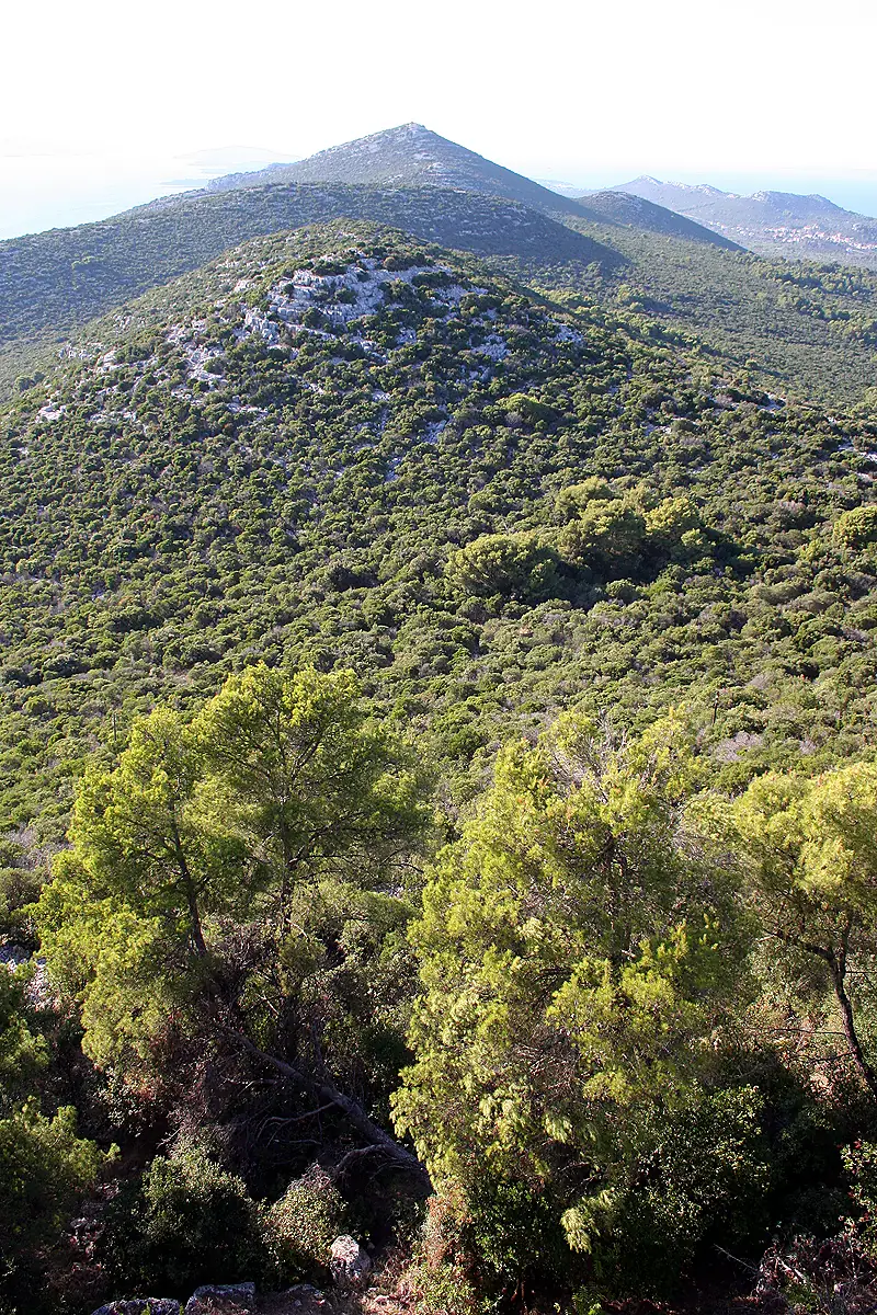 Ugljan 7 from st Mihovila
