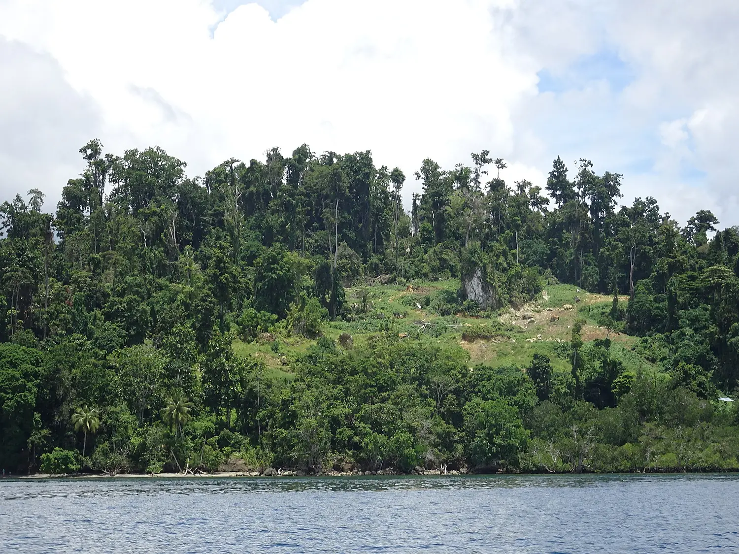 Waigeo view-2