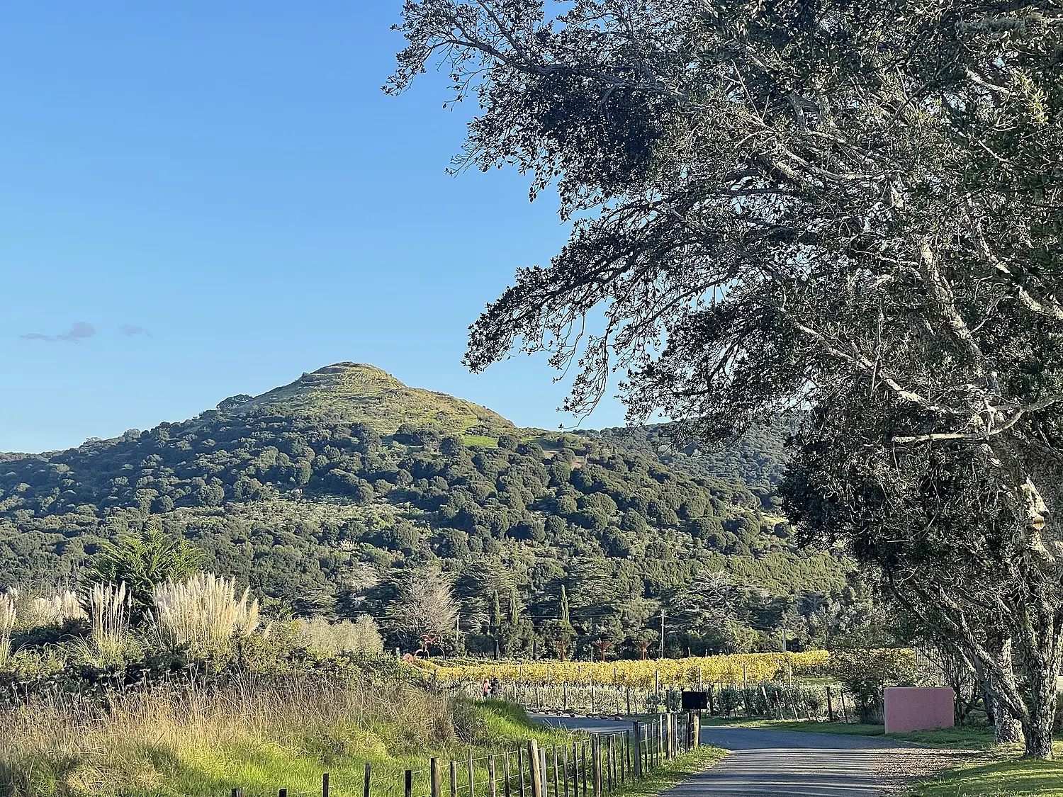 Waiheke pā site Te Pūtiki o Kahumatamomoe 2