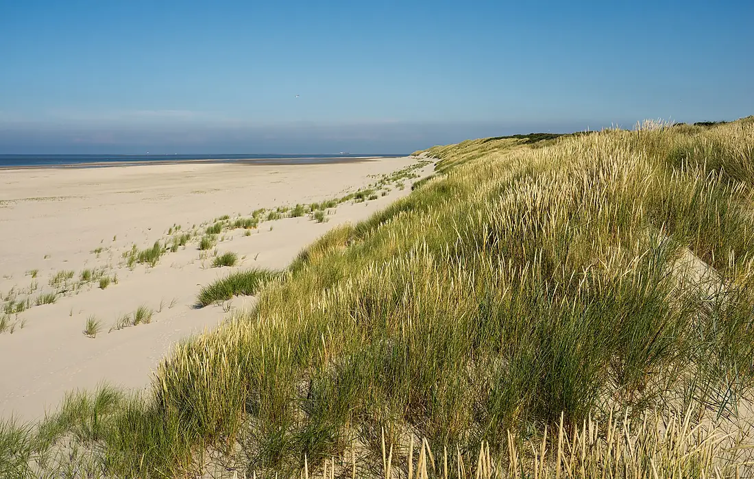 Strand und Dünen im Nordosten von Wangerooge 01