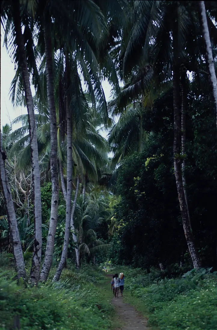 Yapen Island (7)